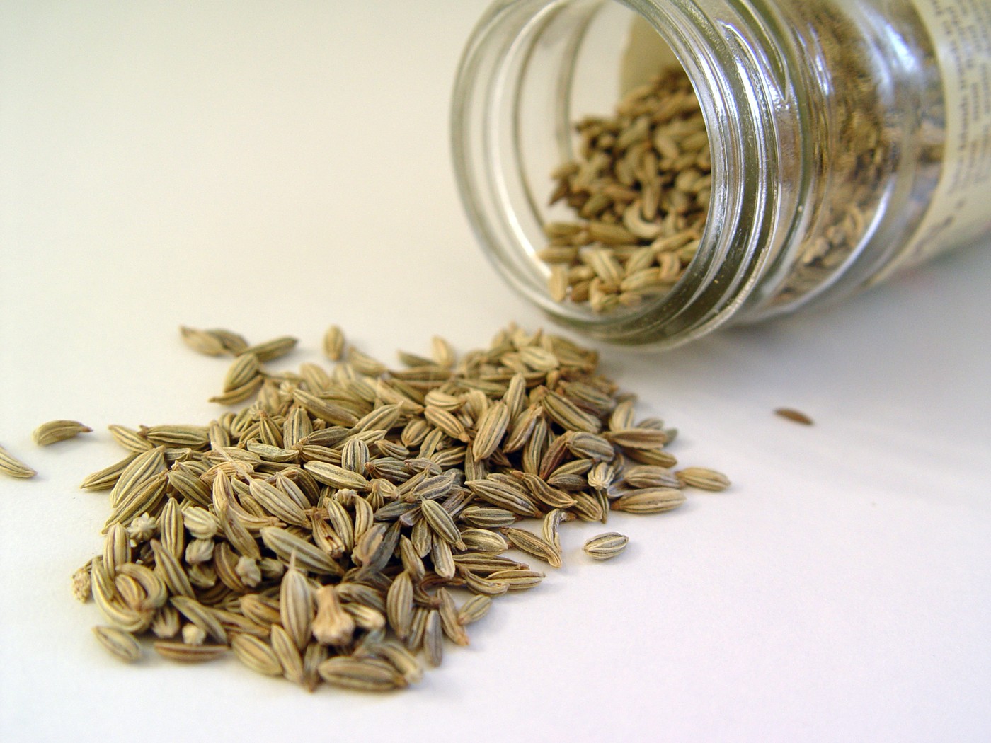 甜小茴香籽
